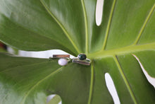 Load image into Gallery viewer, Essential Ring