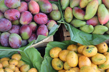 Load image into Gallery viewer, Mercado Scarf- Mango