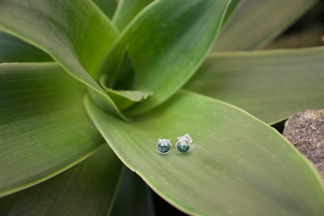 The Essential Circle Studs